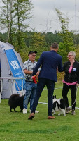 /album/bildgalleri/bir-o-bim-gotland-jpg/